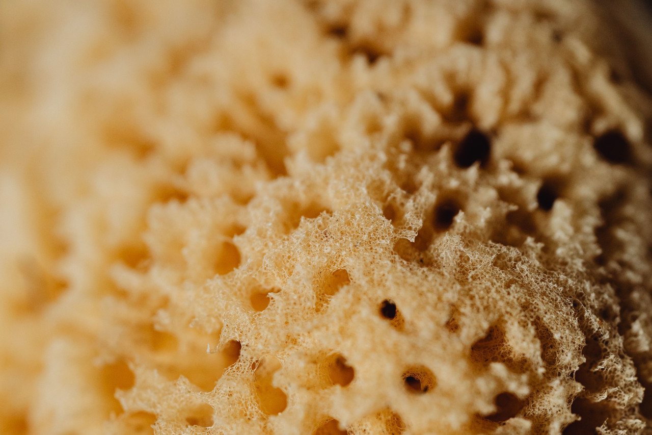/images/posts/pexels-karola-g-6757602.jpg